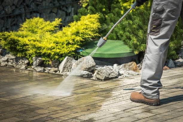 Best Pre-Holiday Cleaning  in Keystone, FL