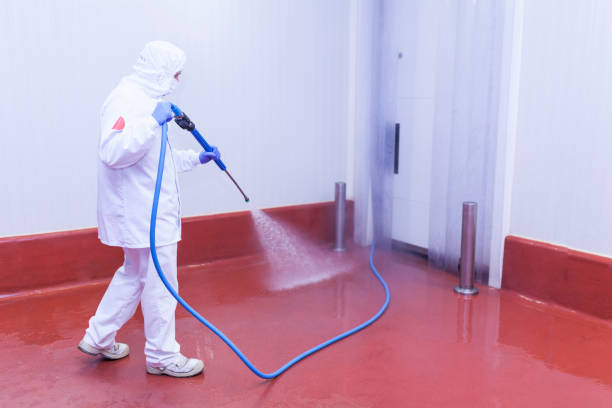 Professional Pressure Washing Services in Keystone, FL